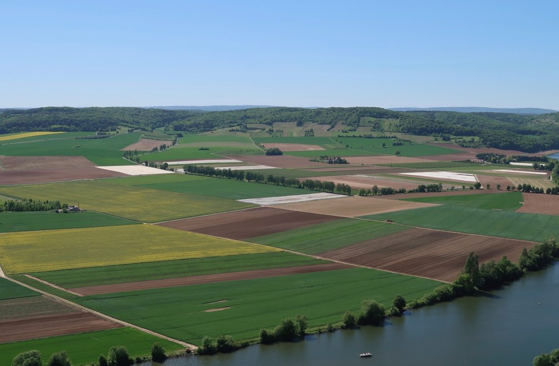 L'usage de pesticides en agriculture conventionnelle