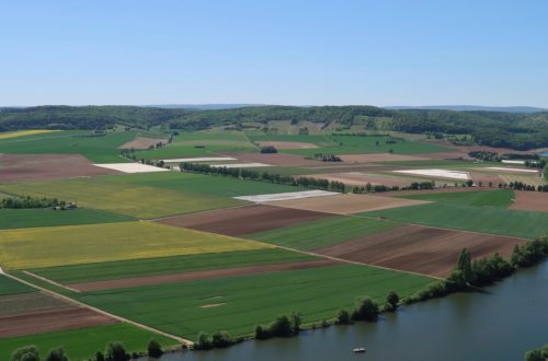 L'usage de pesticides en agriculture conventionnelle