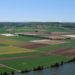 L'usage de pesticides en agriculture conventionnelle